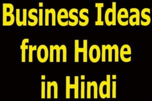 Business Ideas from Home in Hindi