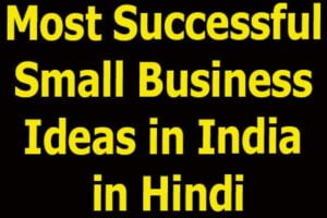 Most Successful Small Business Ideas in India in Hindi