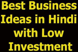 Best Business Ideas in Hindi with Low Investment