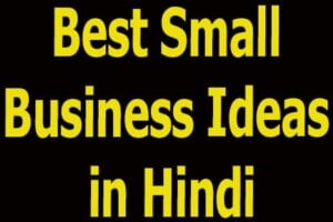 Best Small Business Ideas in Hindi