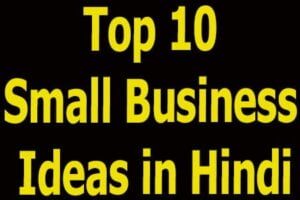 Top 10 Small Business Ideas in Hindi