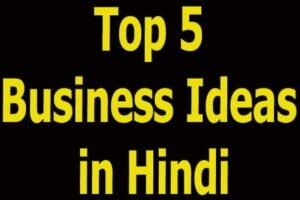 Top 5 Business Ideas in Hindi