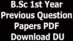 B.Sc 1st Year Previous Question Papers PDF Download DU