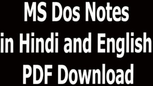 MS Dos Notes in Hindi and English PDF Download