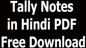 Tally Notes in Hindi PDF Free Download